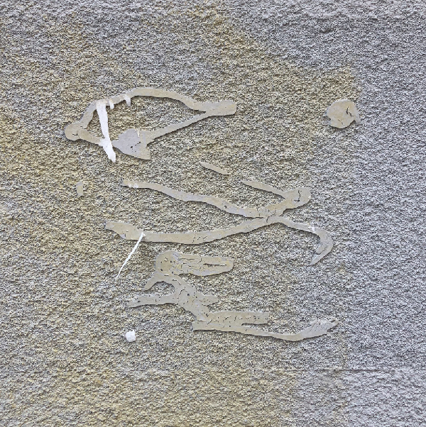 Fossil = Skamielina