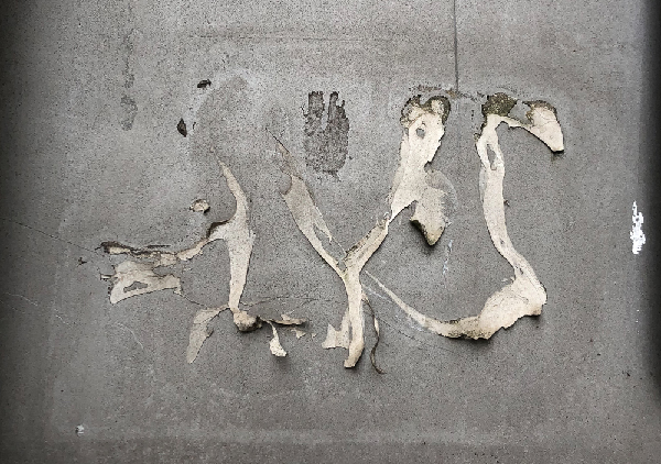 Fossil = Skamielina